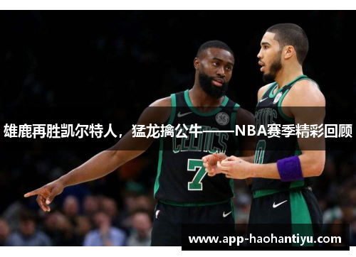 雄鹿再胜凯尔特人，猛龙擒公牛——NBA赛季精彩回顾